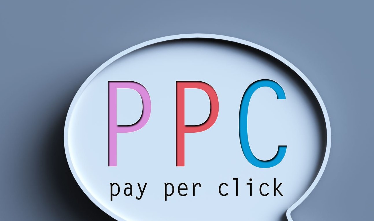 Students working on live projects in PPC Training near me in Haryana